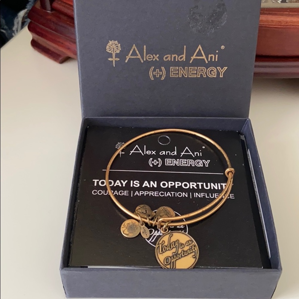 “Today is an opportunity” Alex and Ani Bracelet - Picture 2 of 2